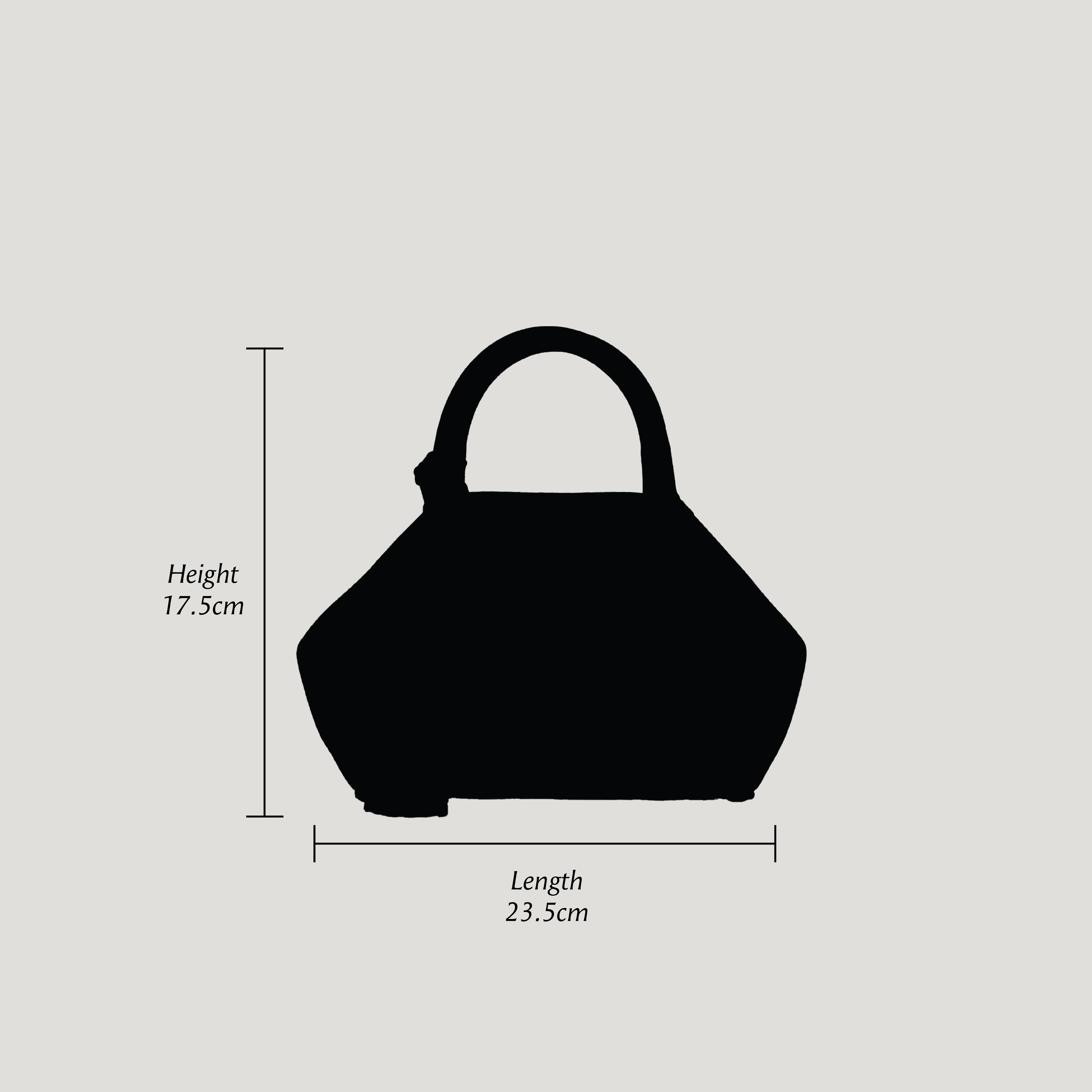 Downtown Half Day in Crocodile